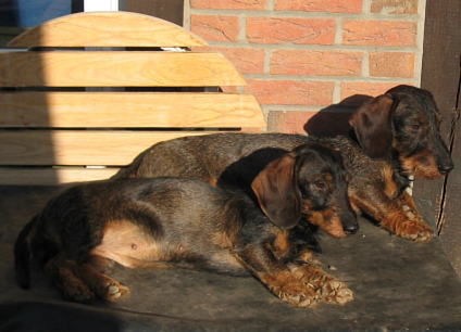 April und Alex genieen die noch sehr warme Oktobersonne....