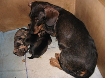eine besorgte Mama