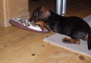 Spielen......