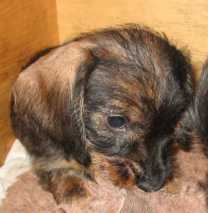 noch ein kleines Kmpfchen mit Kollegin Cecilie - und dann nahmen wir Abschied....
