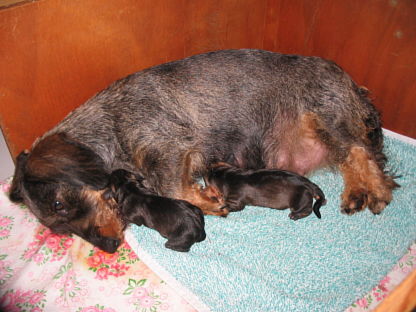 Groggy? Na klar, ein wenig!