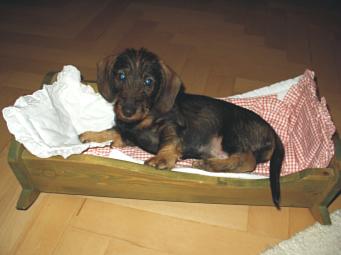 hier gefllt es mir seeeehr gut....es schlft sich so weich..... hi, hi