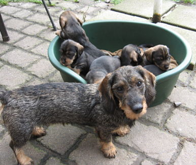 unsere groe Schwester Laluna spielt schon sehr oft mit uns!