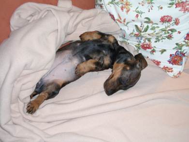 na, was ist das denn? - wegschauen!!!!!!