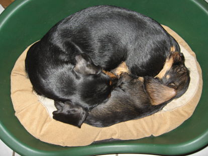 Kuscheln ist doch schn!