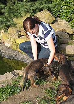 komm her, mein Hund, noch einmal auf den Scho nehmen....