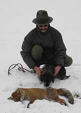 dieser Fuchs wird prpariert .... eine stetige Erinnerung