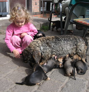 na, Mama, hier drauen schmeckt es uns auch gut!