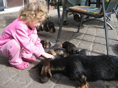 Tinka mu sich die Kleinen auch mal anschauen.....