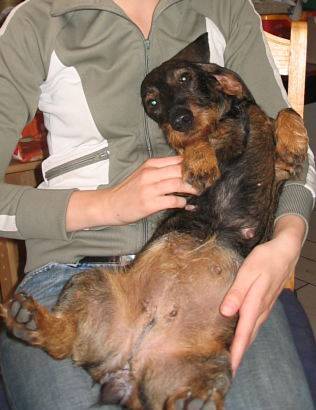 ich habe stndig Hunger.......!