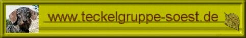 Gruppe Soest im DTK